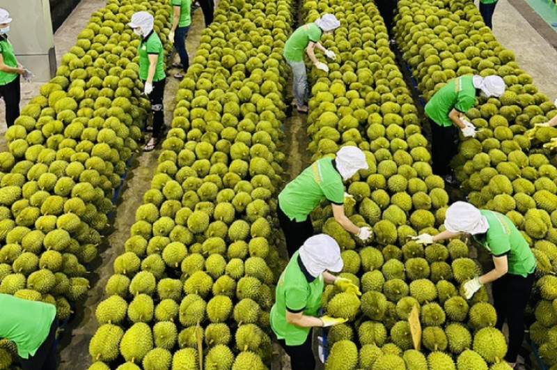 Tăng trưởng GDP năm 2023 ước đạt 5,05%, quy mô nền kinh tế tăng lên 430 tỷ USD