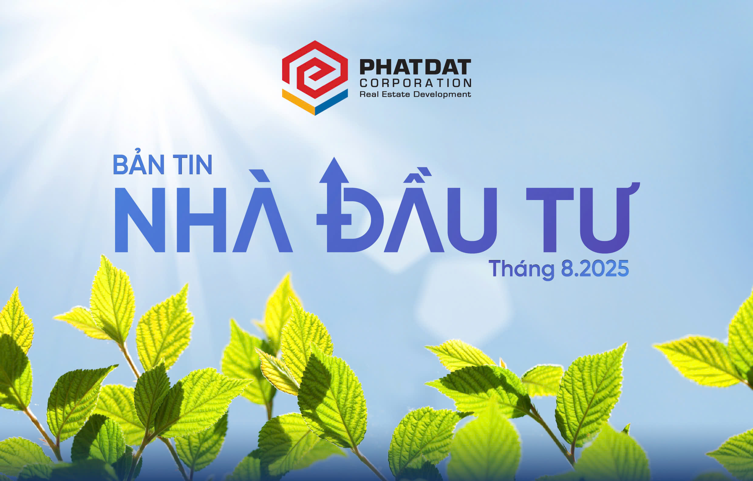 Bản tin nhà đầu tư tháng 08/2025: Ghi nhận nhiều kết quả tích cực
