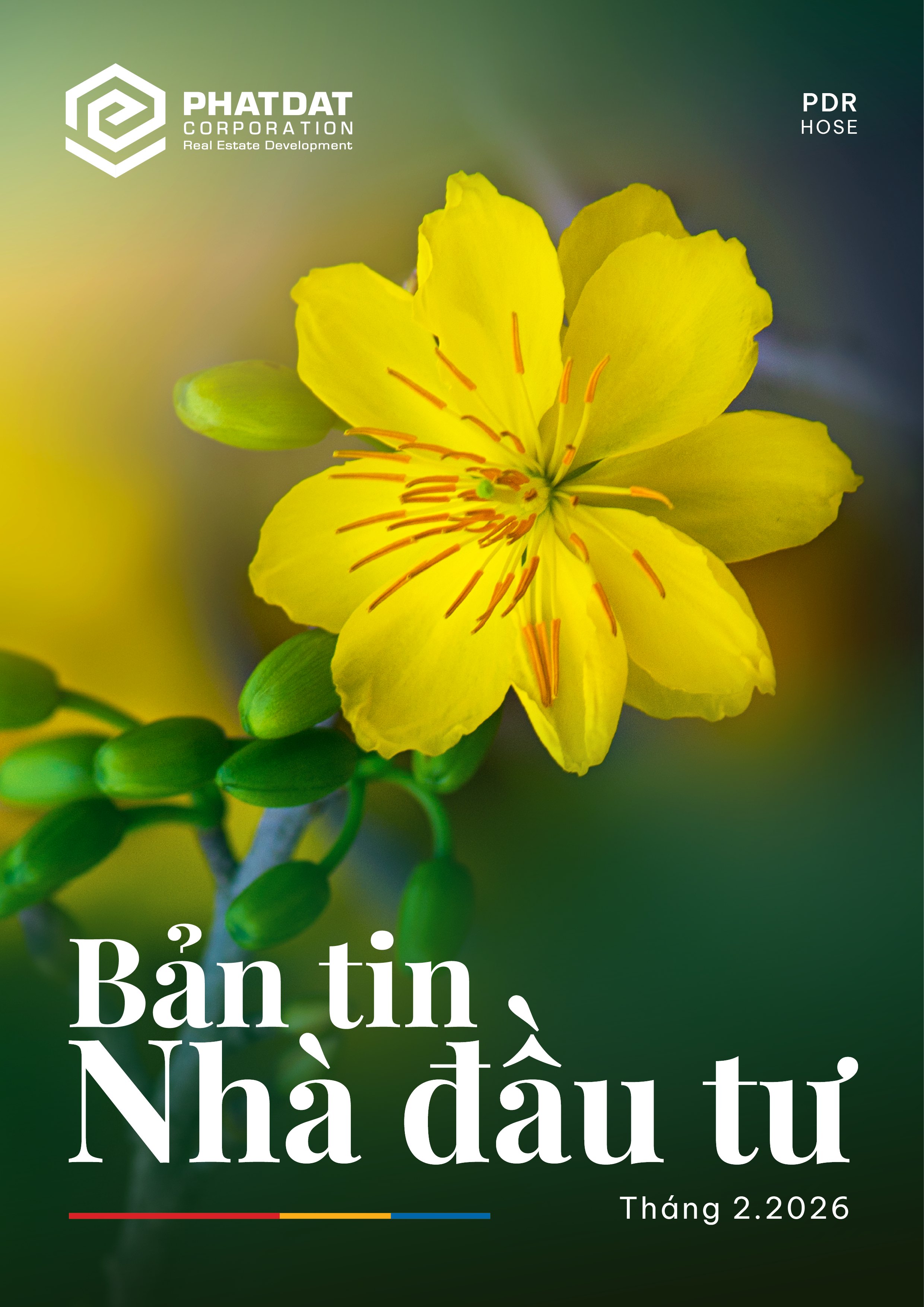 Bản tin Nhà đầu tư - Tháng 02/2026